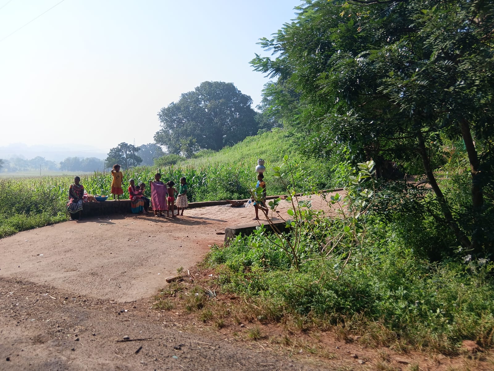 Field Photo