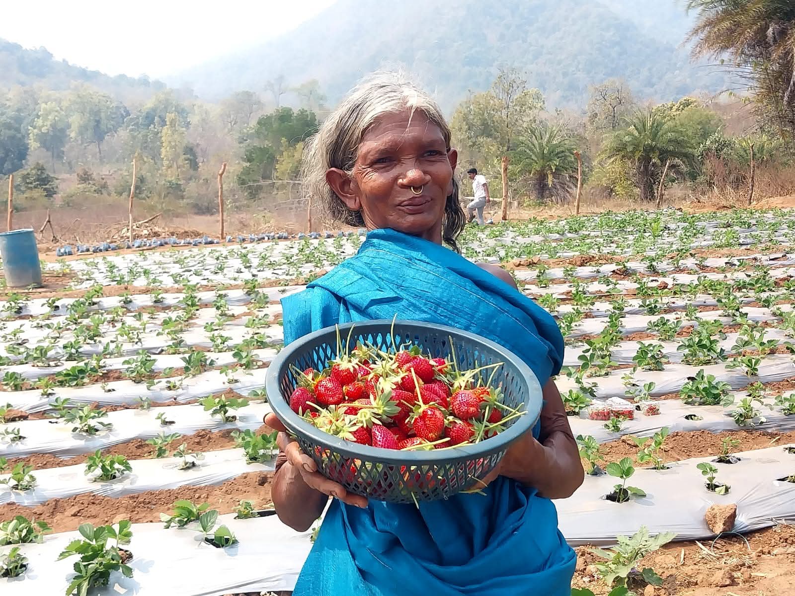 Field Photo