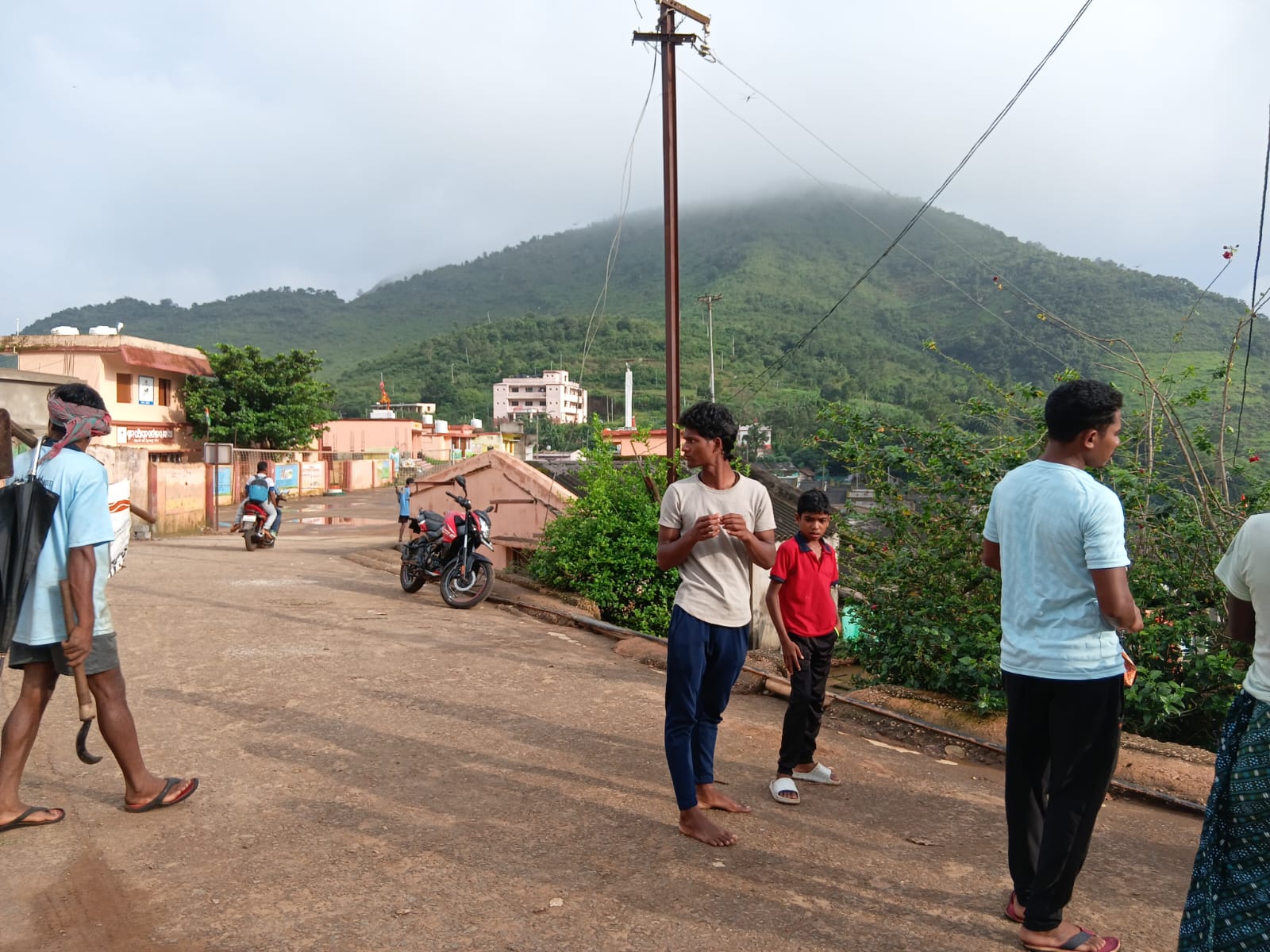 Field Photo