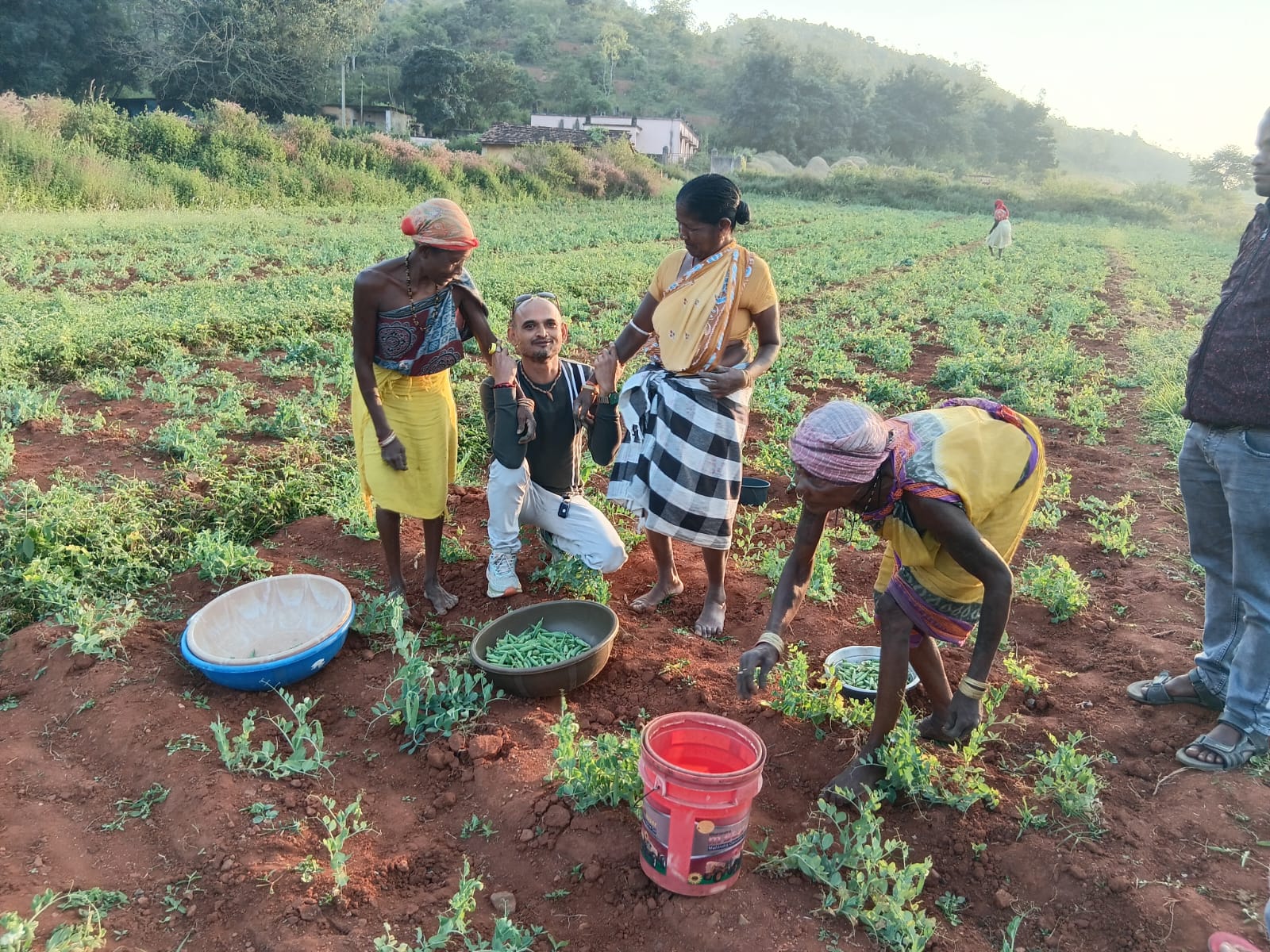 Field Photo