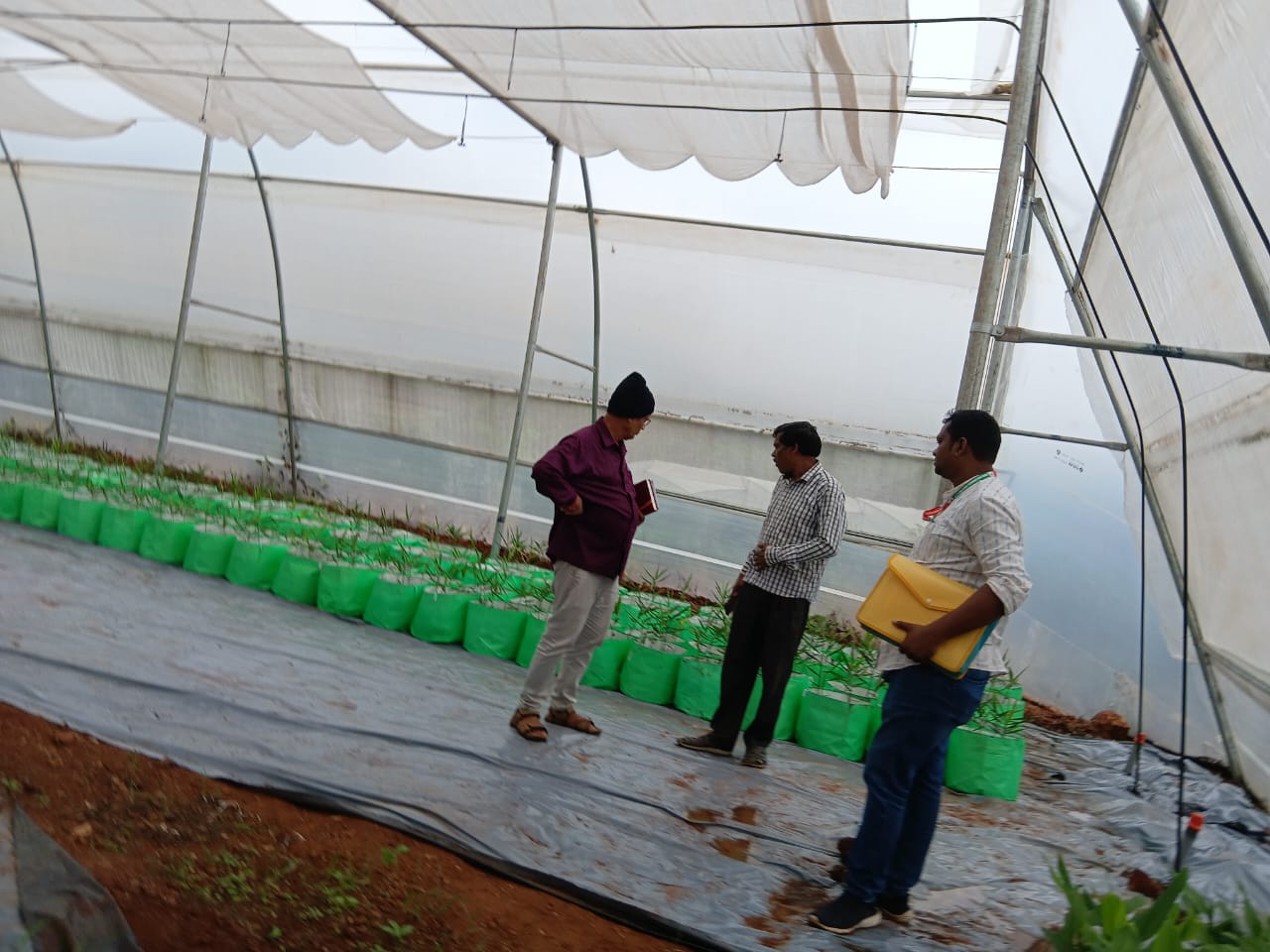Field Photo