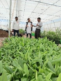 MCIF: EXPOSURE VISIT & CASE STUDY PROGRAMME