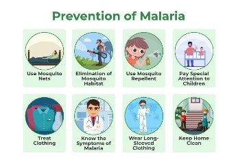 Disease Prevention & Health Awareness Slide 1