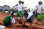 Tree Plantation & Forest Conservation Slide 2