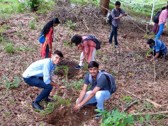 Tree Plantation & Forest Conservation Slide 1
