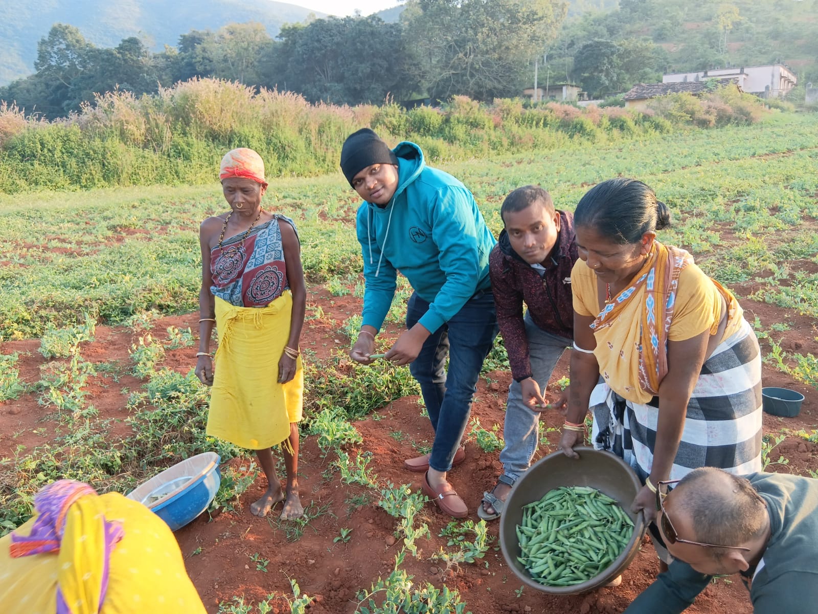 Agriculture Growth & Development