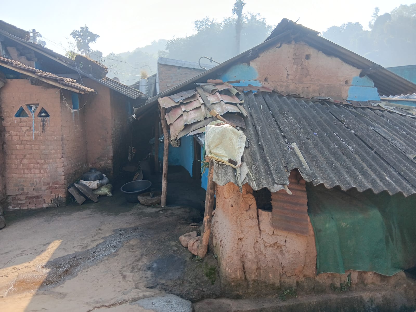 Tribal Sustainable Livelihoods